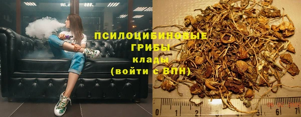 СК Дмитриев