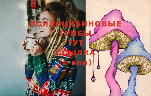 синтетический гашиш Дмитров