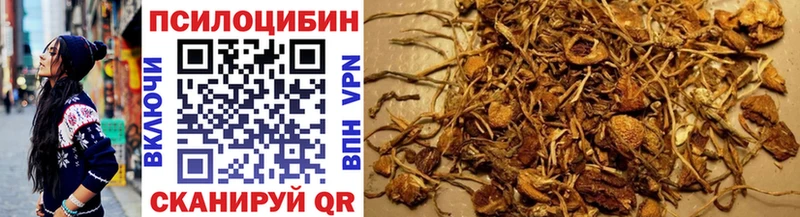 Псилоцибиновые грибы мицелий  Купить  Кондрово 
